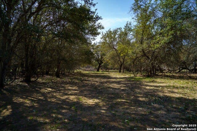 16.56 acres in Wilson County - photo 58
