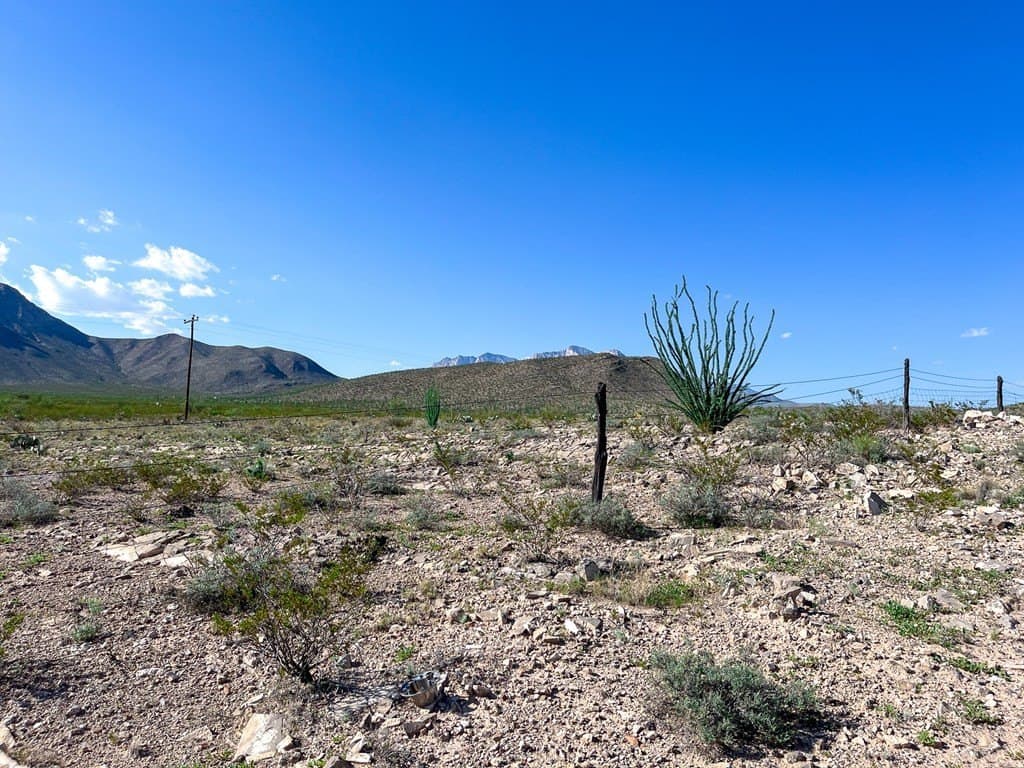 10 acres in Culberson County - photo 4