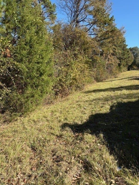 37.73 acres in Henderson County - photo 4