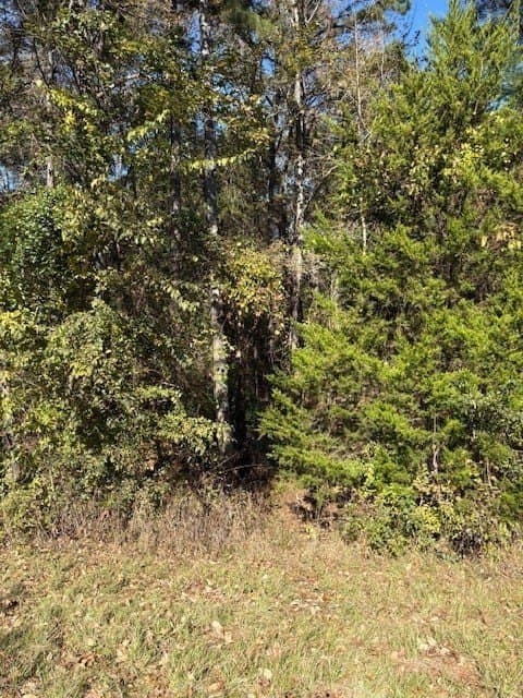 37.73 acres in Henderson County - photo 2
