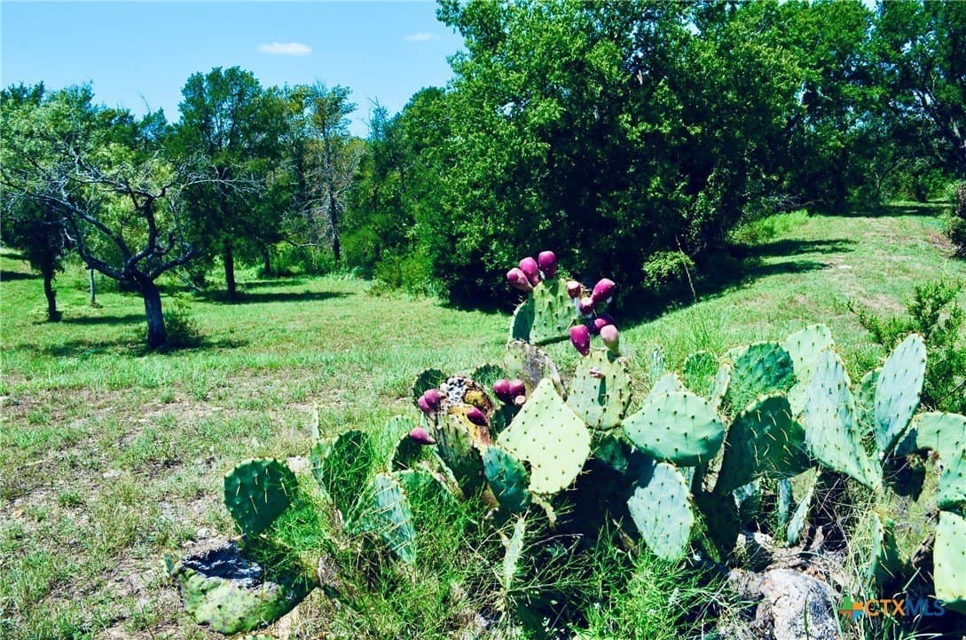 55.96 acres in Burnet County - photo 4