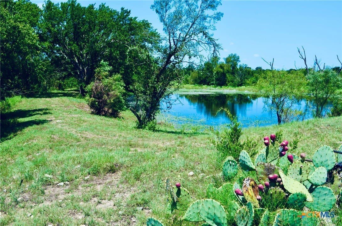 55.96 acres in Burnet County - photo 7