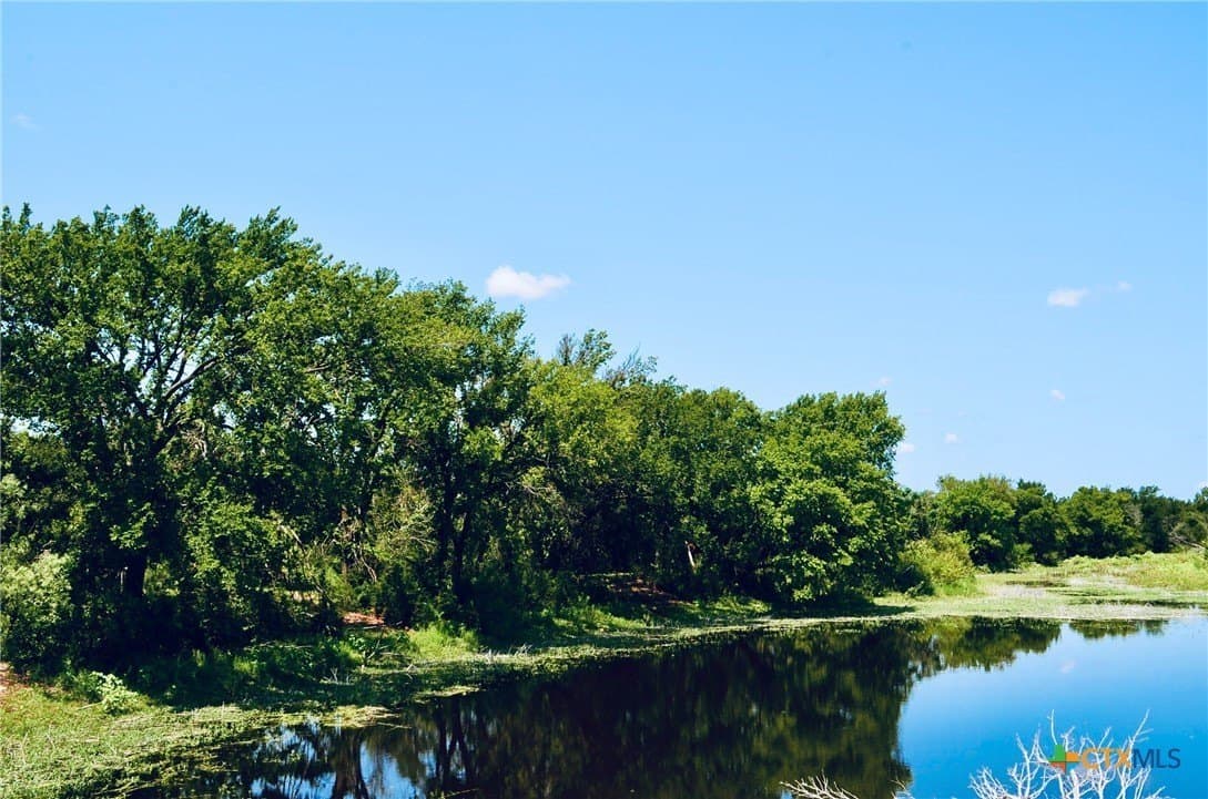 55.96 acres in Burnet County - photo 2
