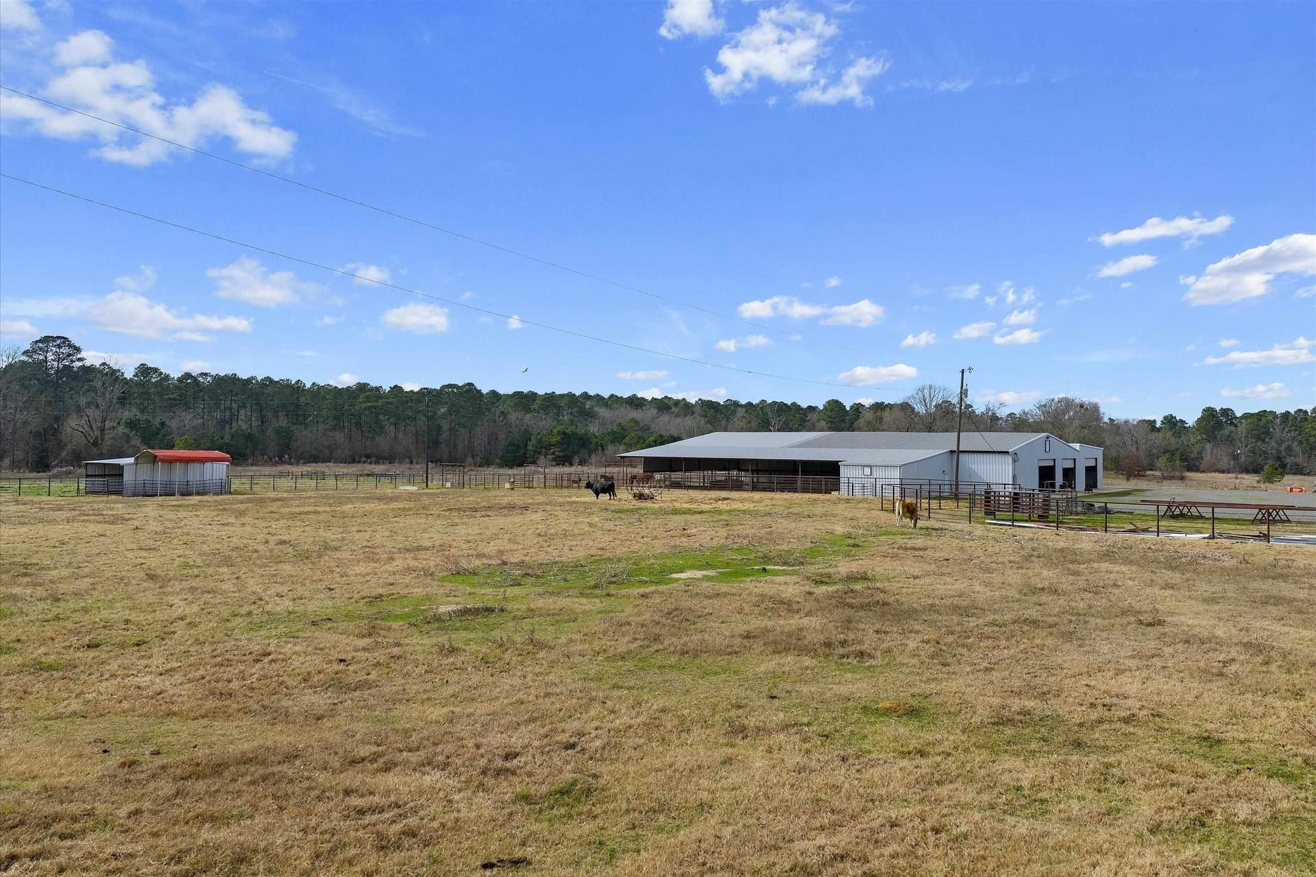 28 acres in Texas County - photo 26