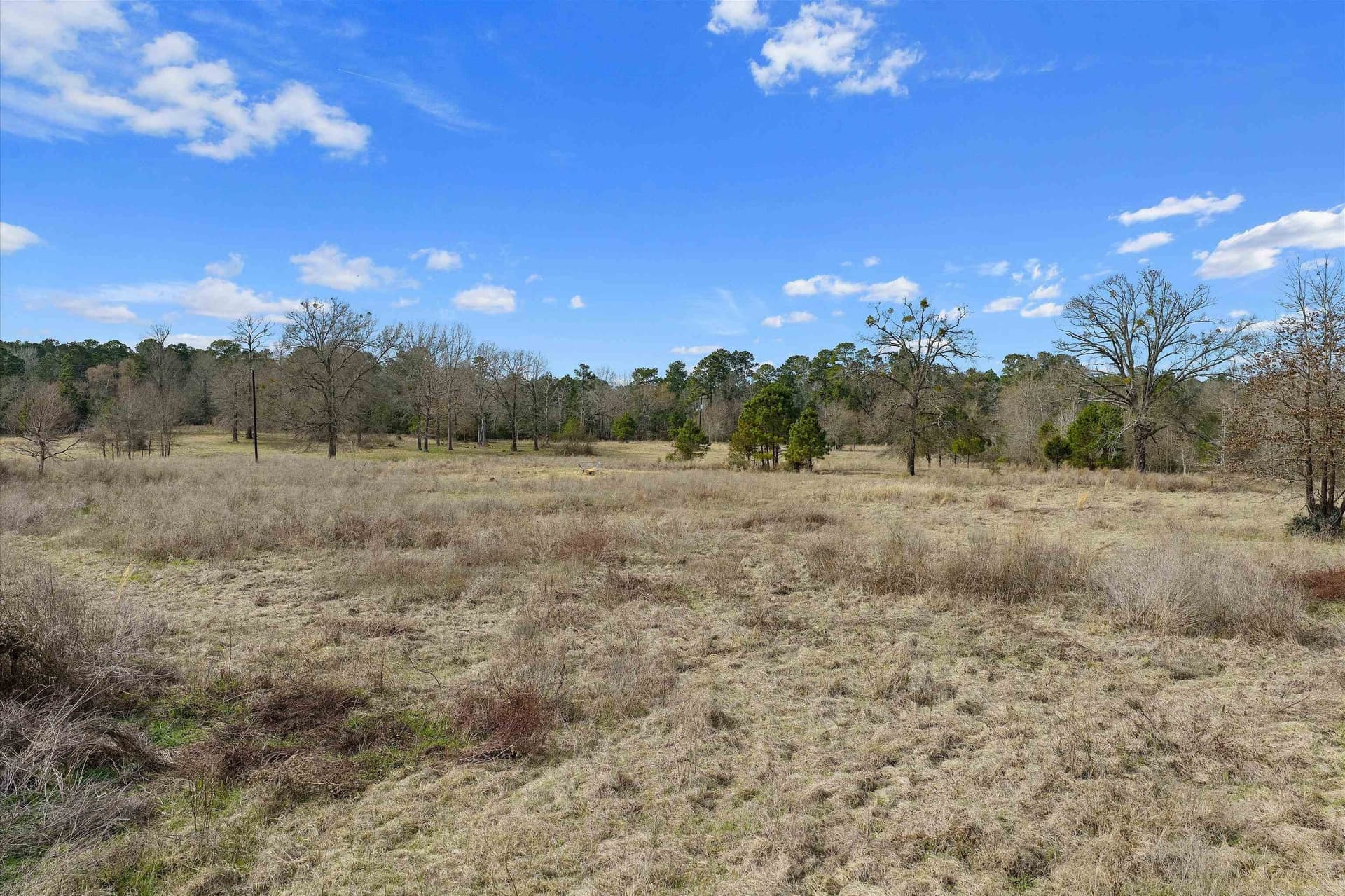 28 acres in Texas County - photo 24
