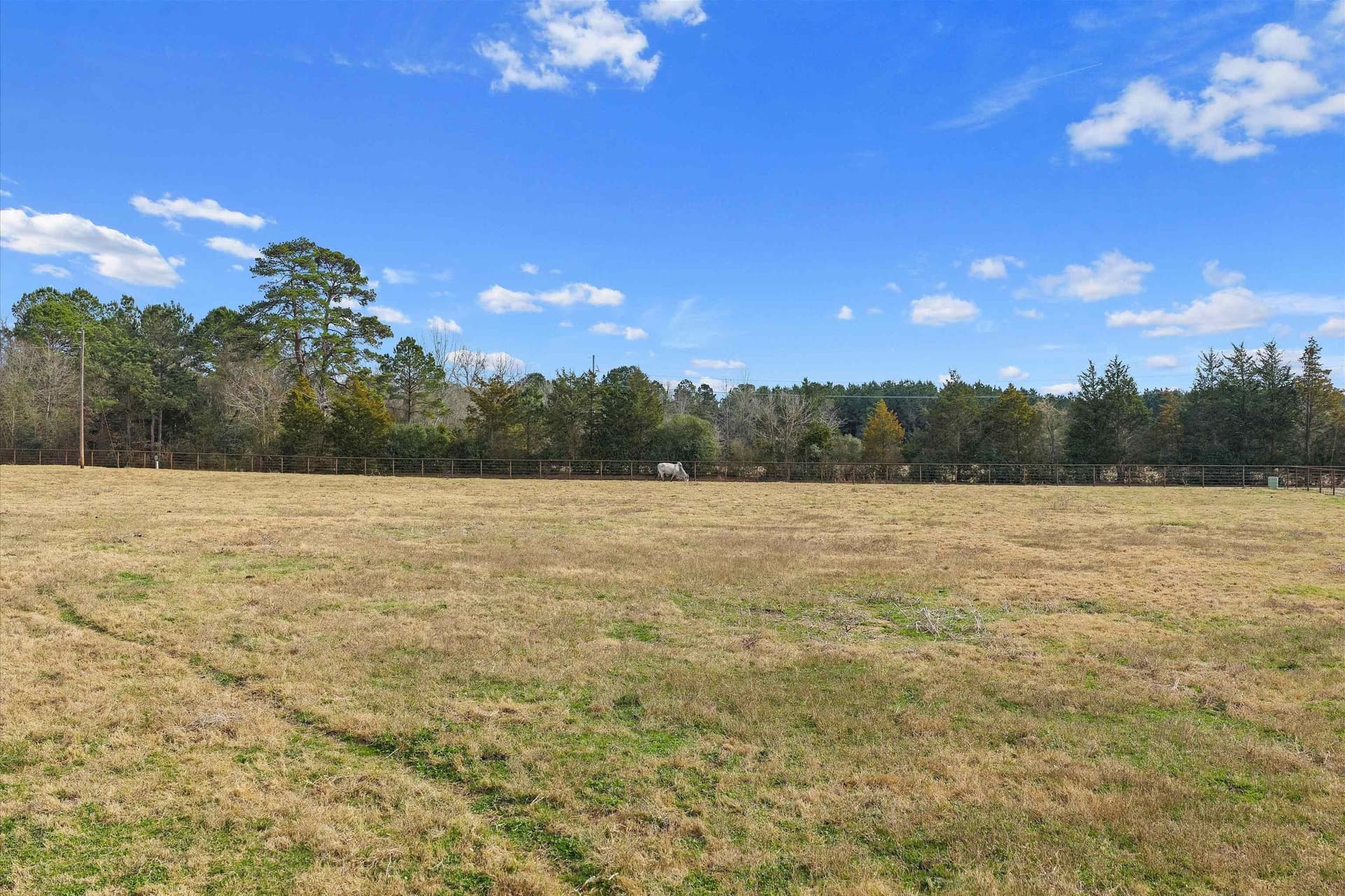 28 acres in Texas County - photo 25