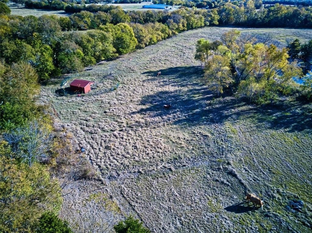17.2 acres in Fannin County - photo 21