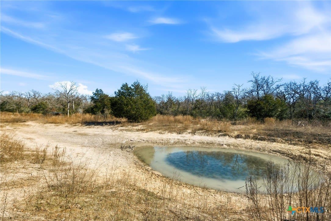31.42 acres in Milam County - photo 16