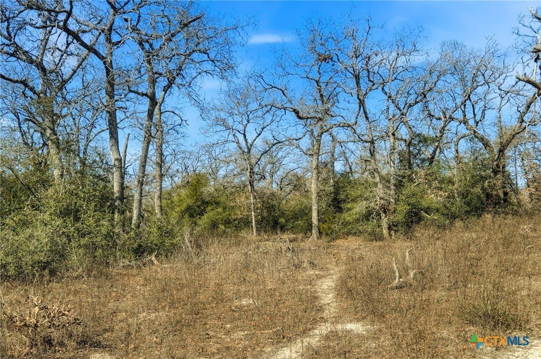 31.42 acres in Milam County - photo 22