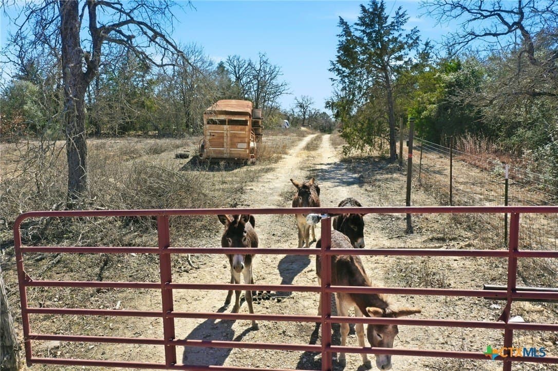 31.42 acres in Milam County - photo 9