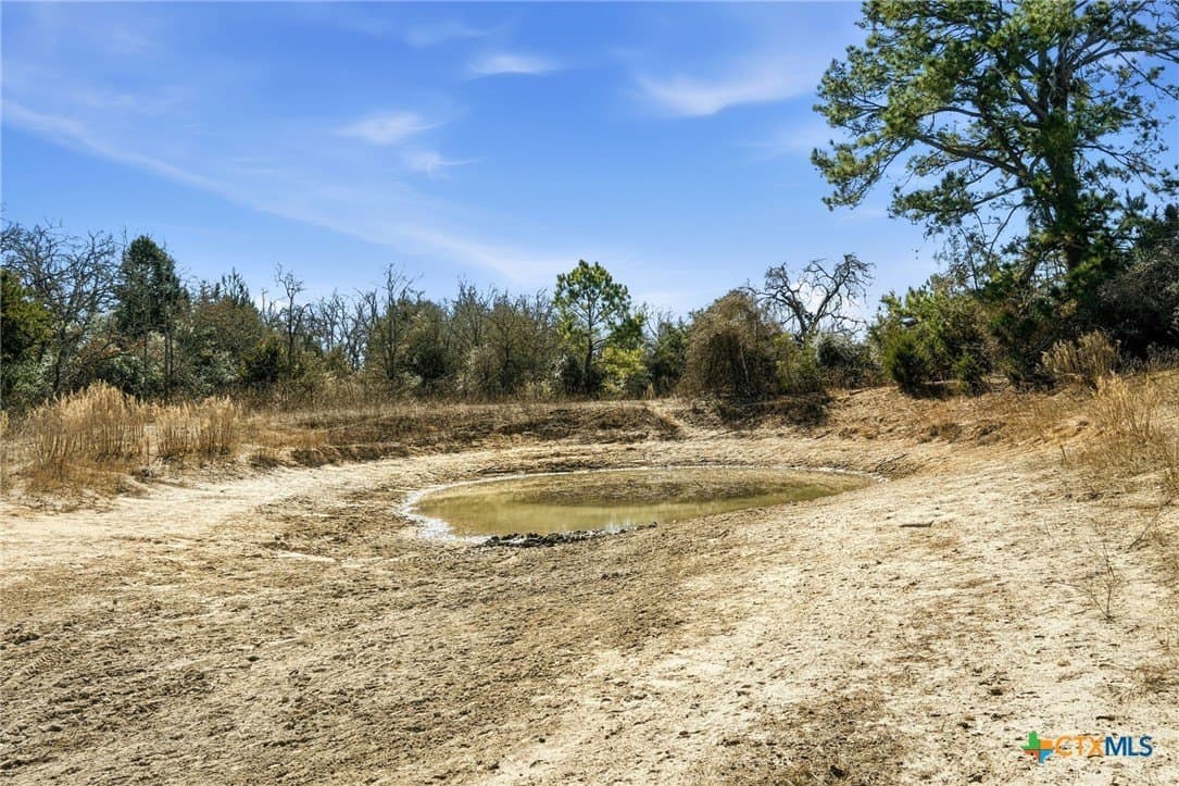 31.42 acres in Milam County - photo 18