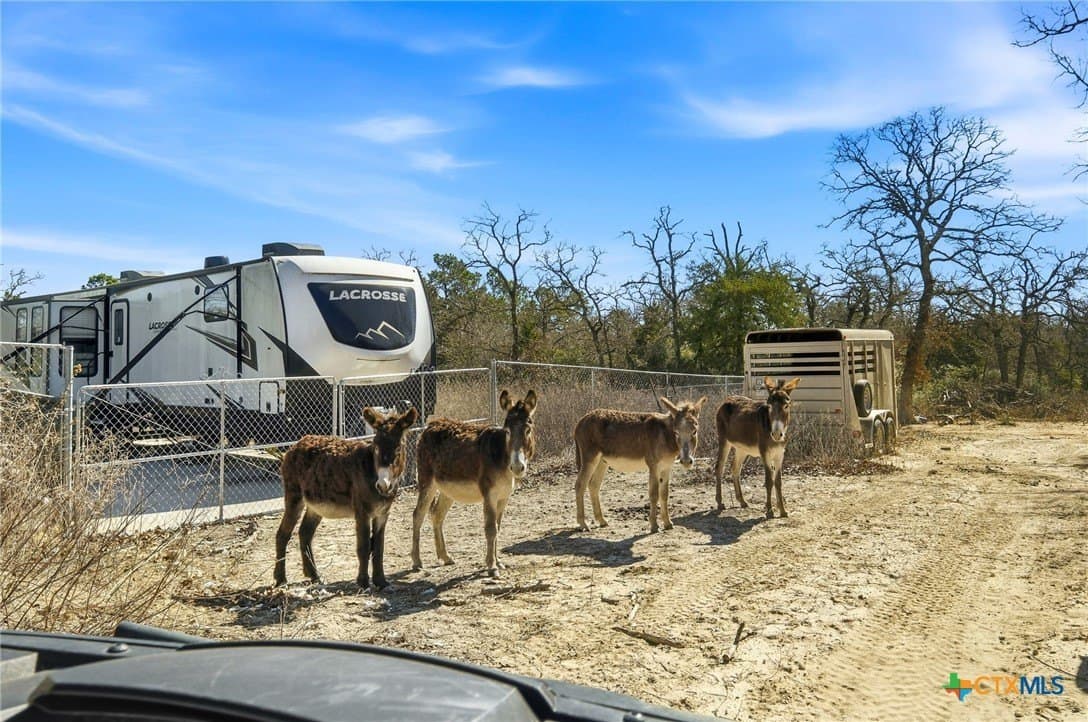 31.42 acres in Milam County - photo 13