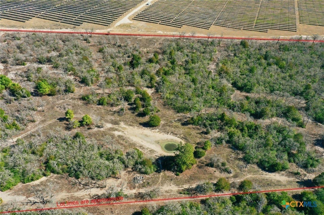 31.42 acres in Milam County - photo 5