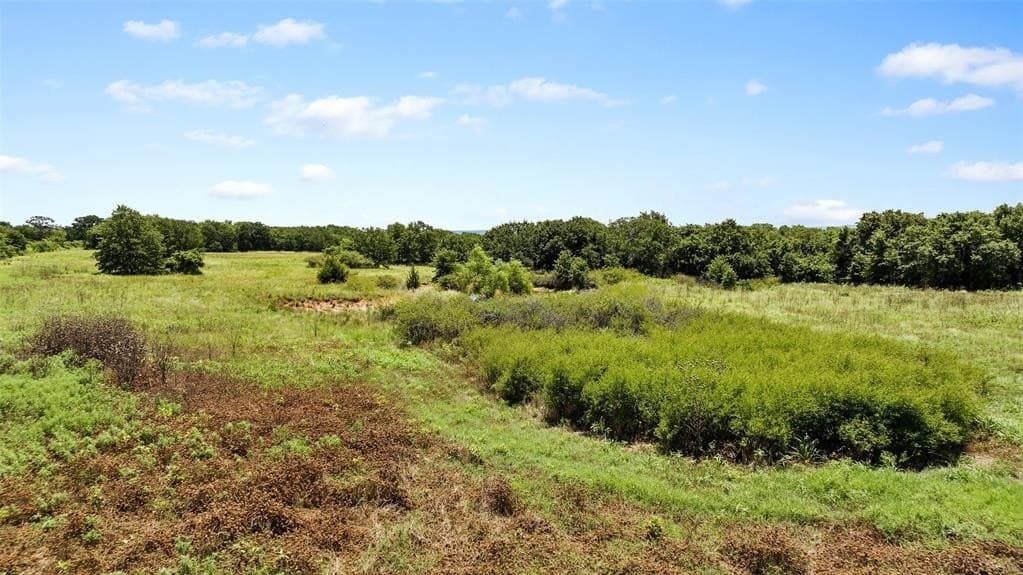 55.34 acres in Montague County - photo 16