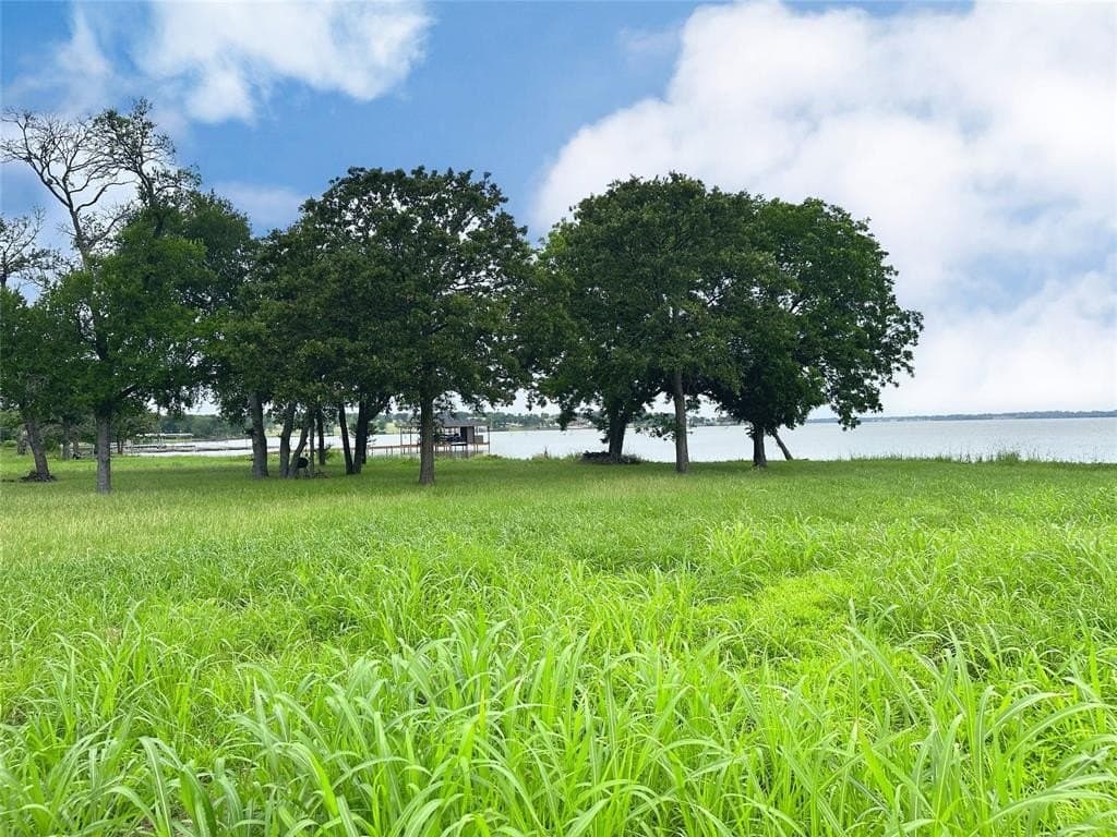 1.18 acres in Navarro County - photo 10