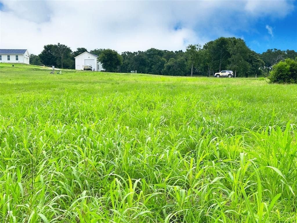 1.18 acres in Navarro County - photo 16