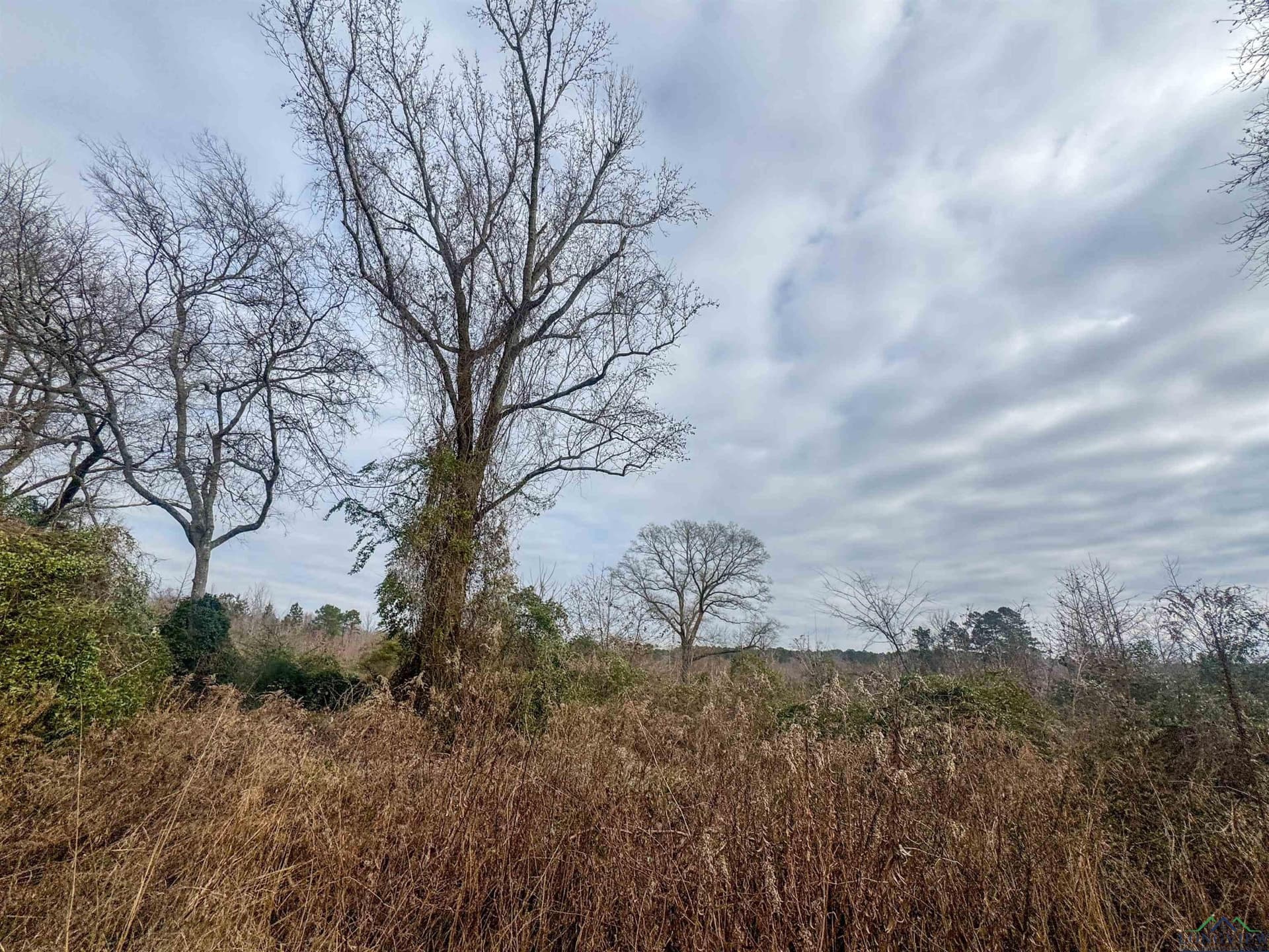 8.34 acres in Cass County - photo 3