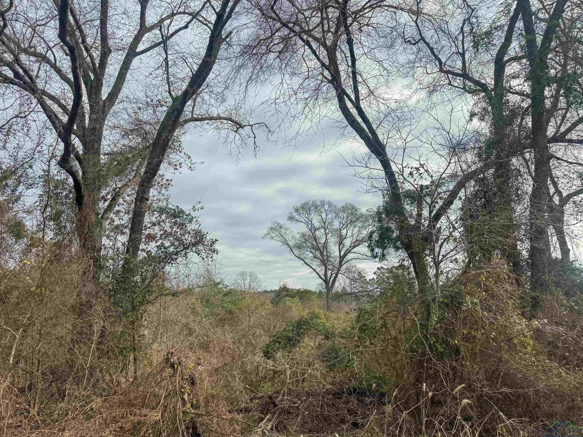 8.34 acres in Cass County - photo 19