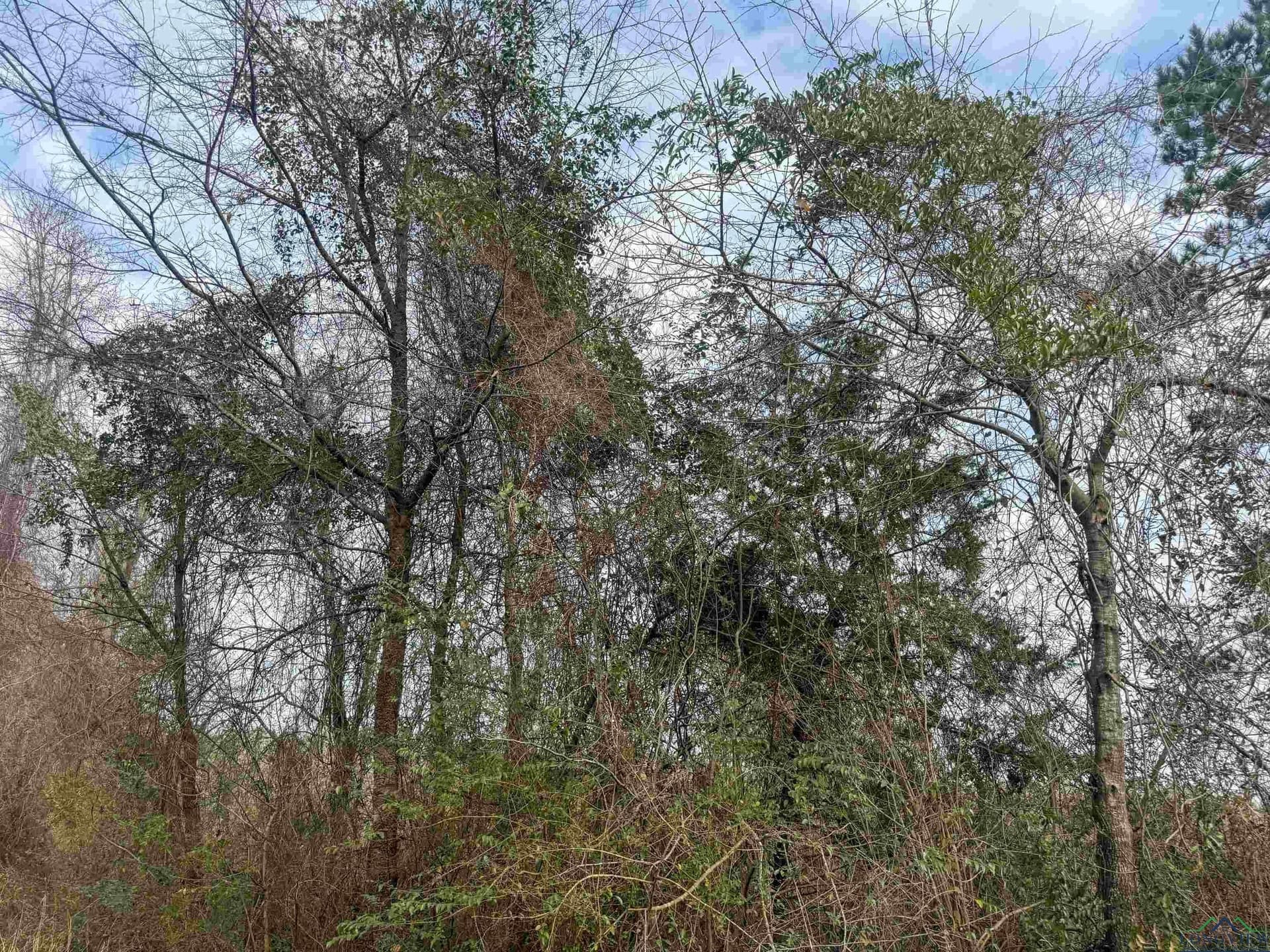 8.34 acres in Cass County - photo 20