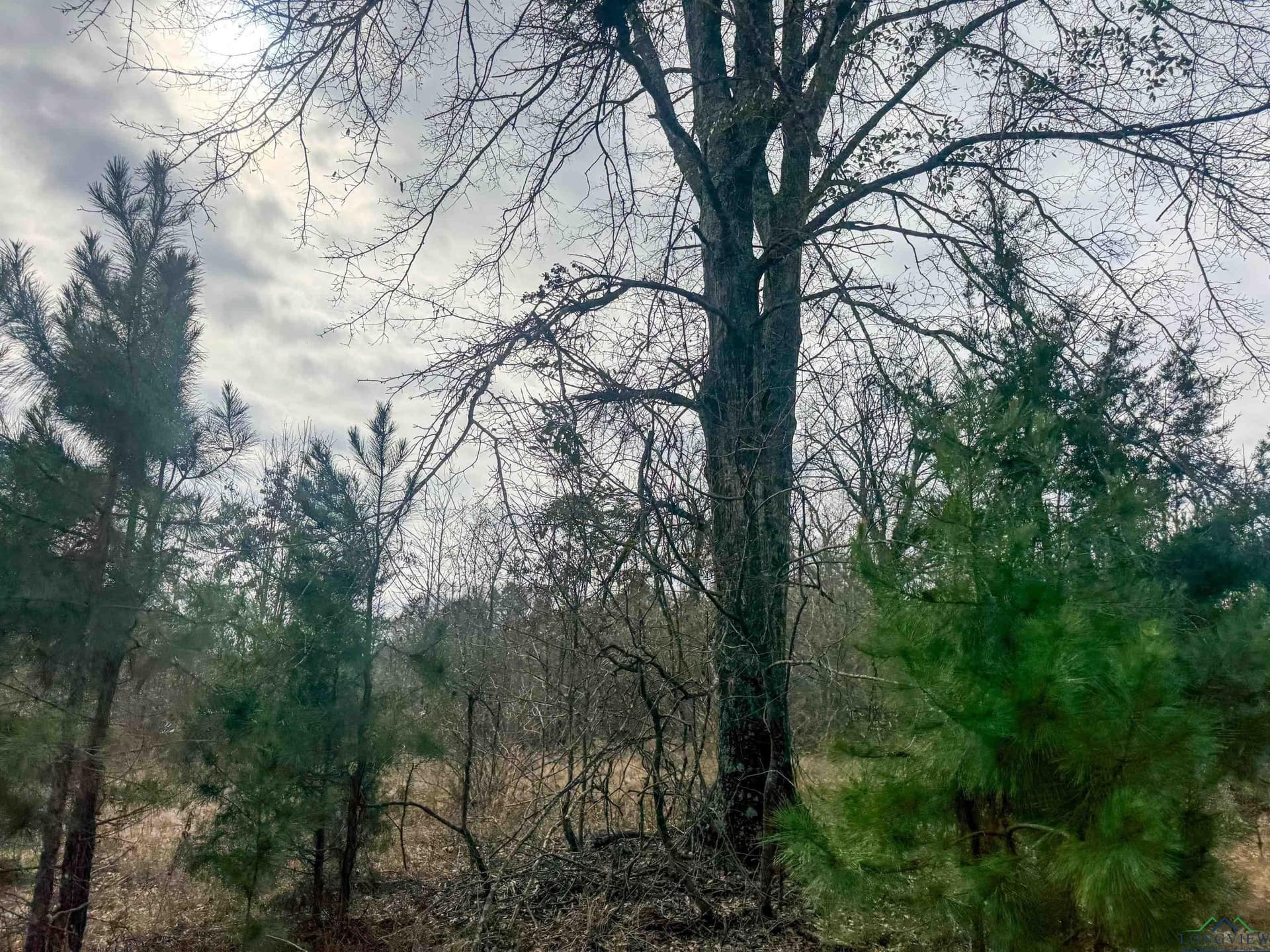 8.34 acres in Cass County - photo 17
