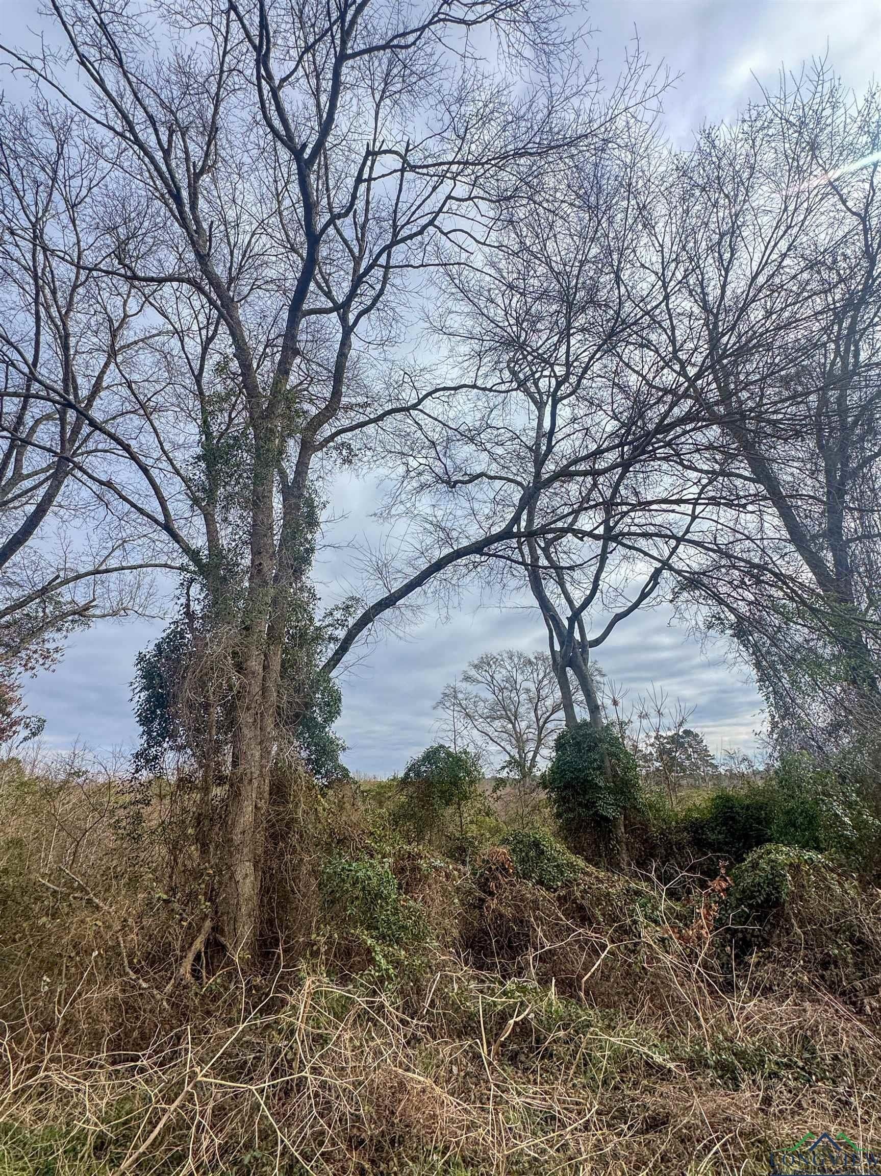 8.34 acres in Cass County - photo 13