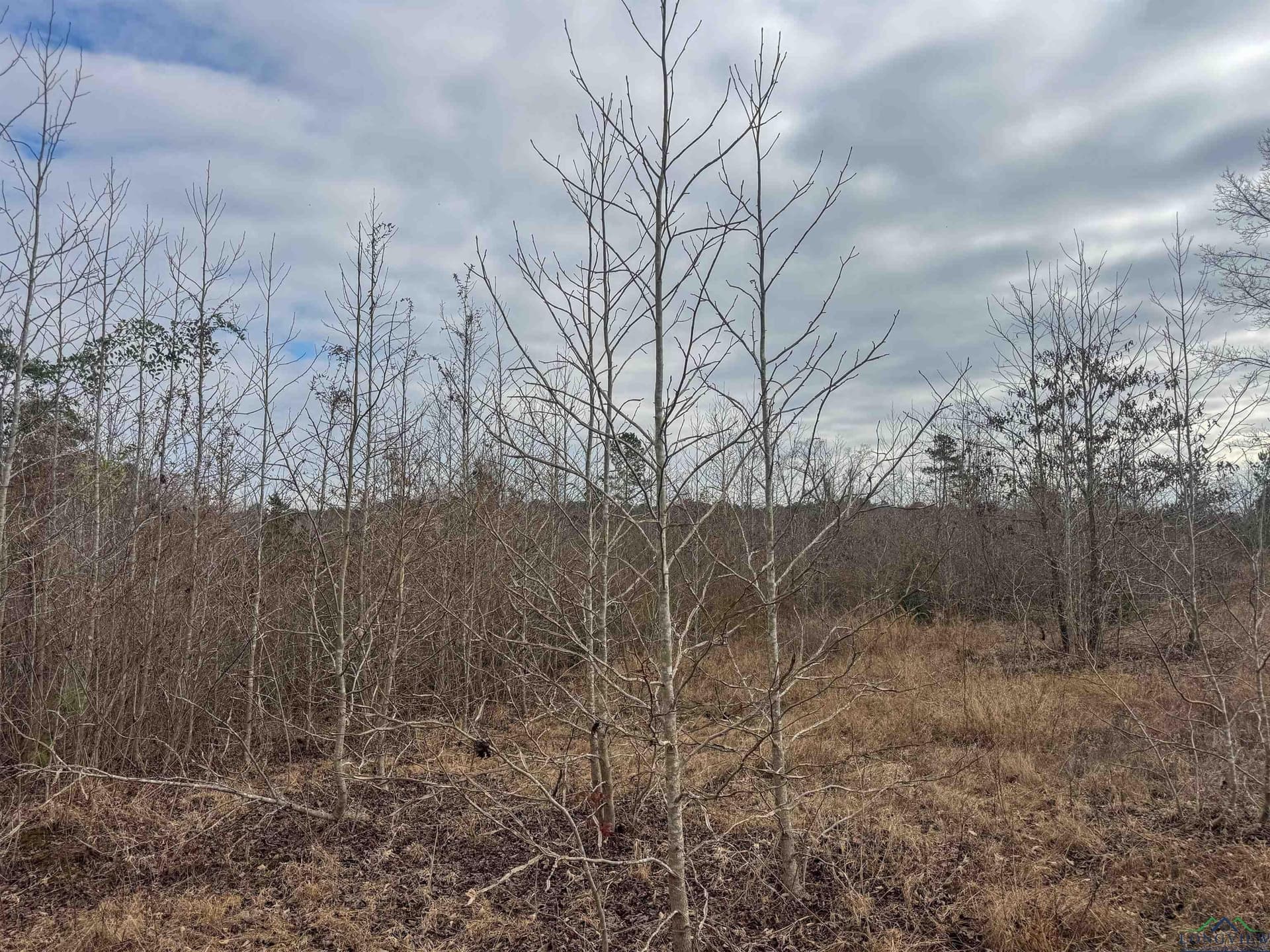 8.34 acres in Cass County - photo 15