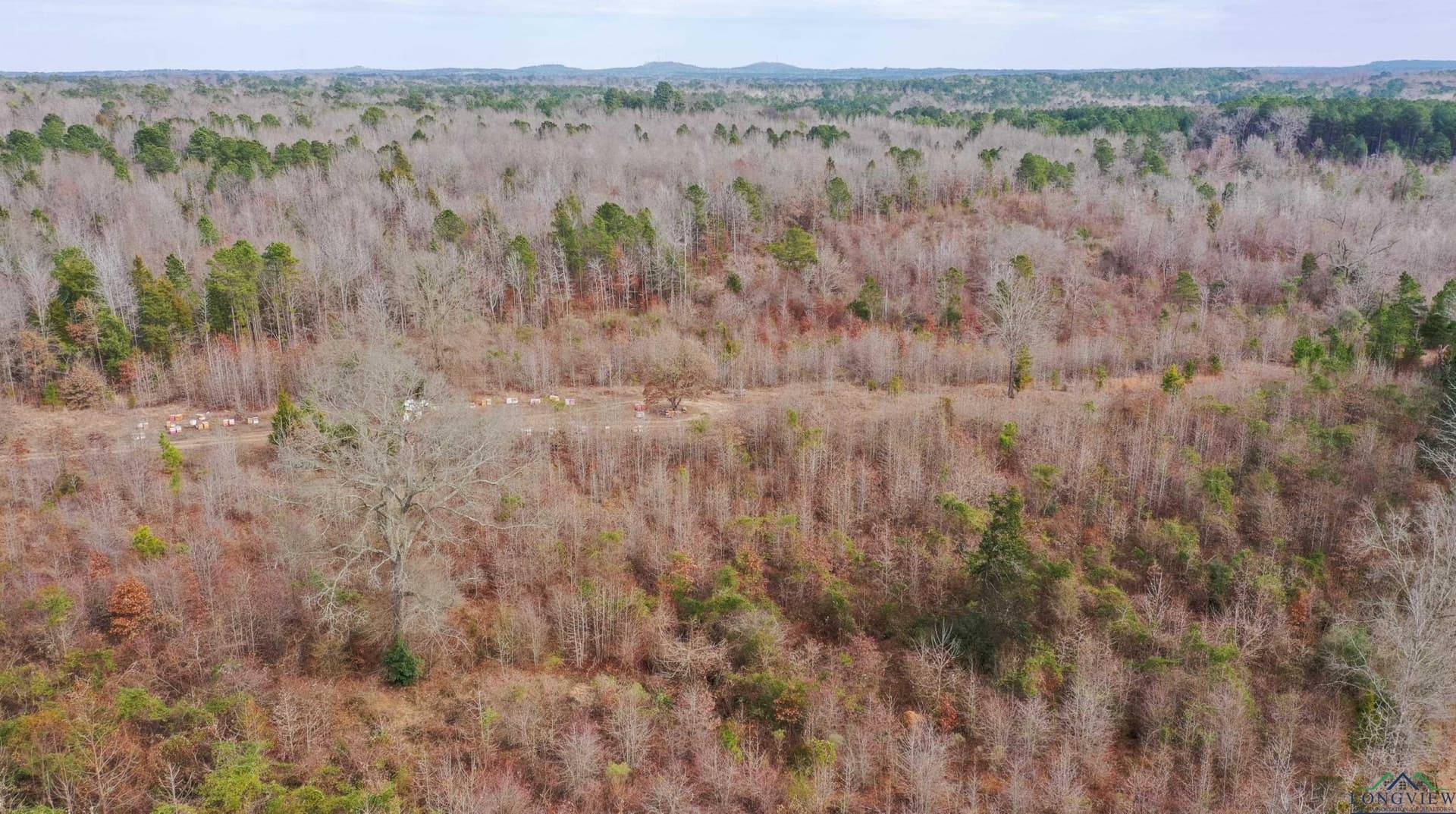 8.34 acres in Cass County - photo 8