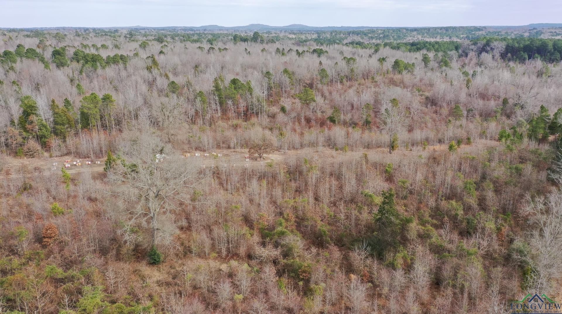 8.34 acres in Cass County - photo 6