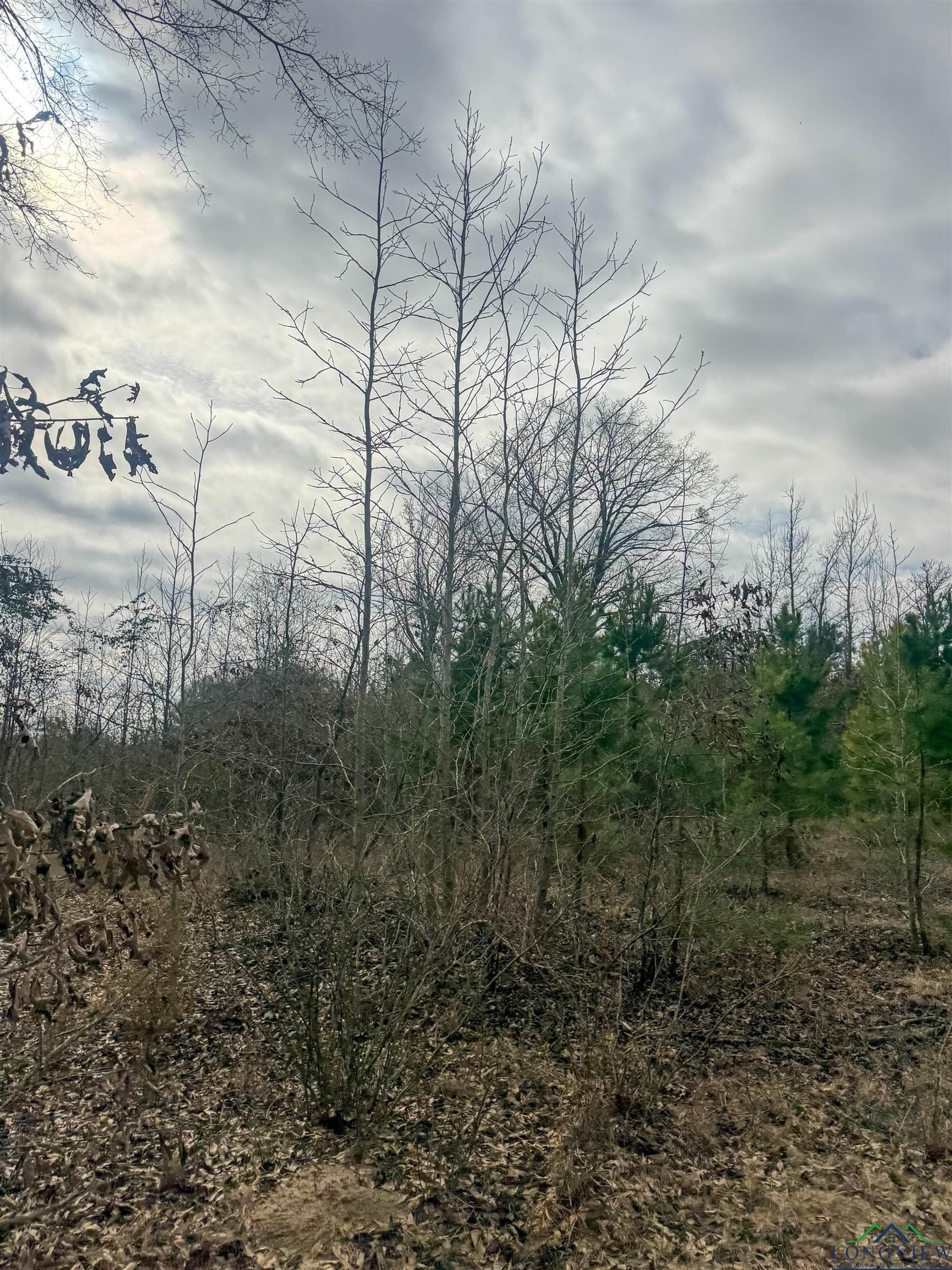 8.34 acres in Cass County - photo 12