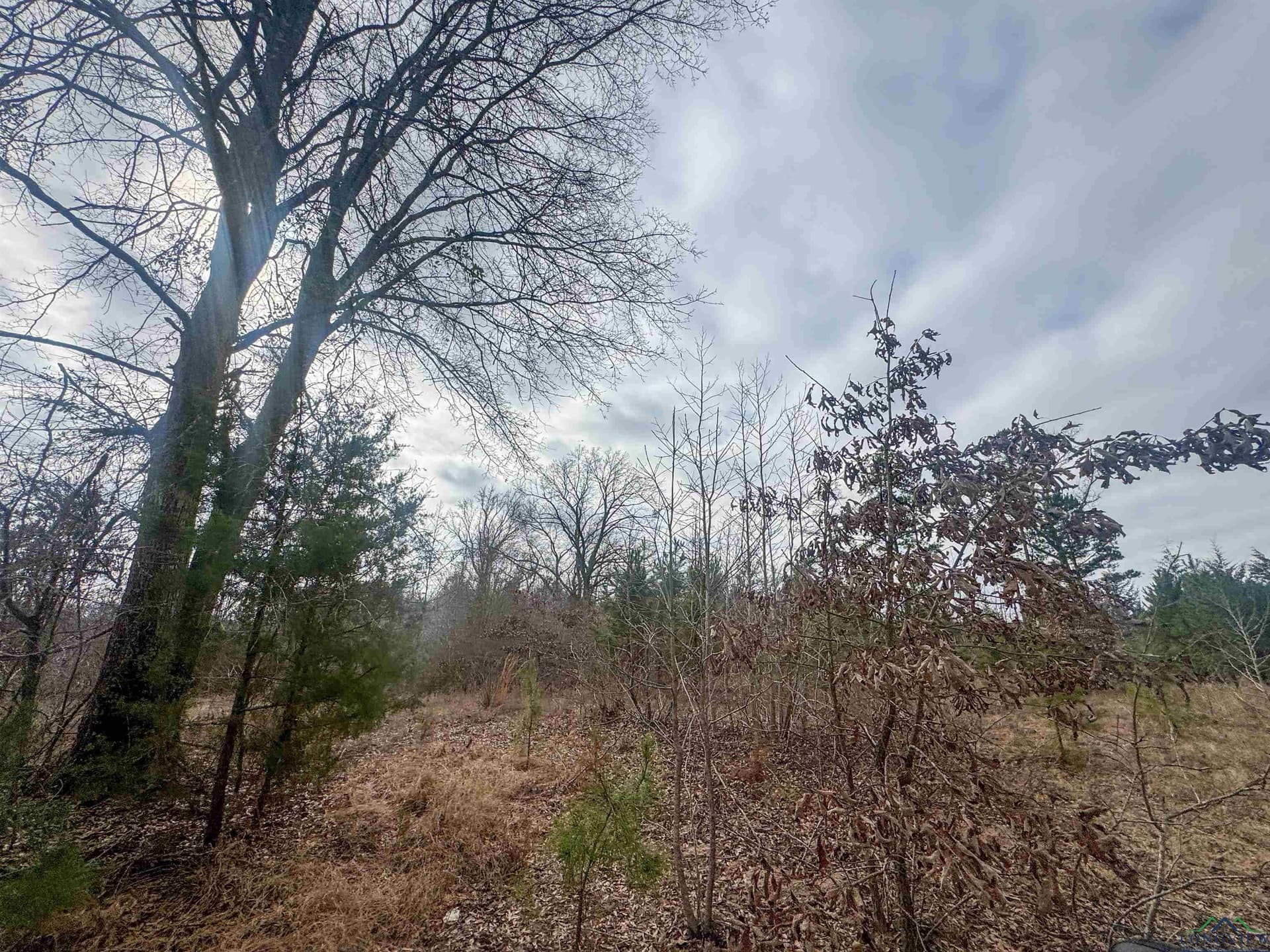 8.34 acres in Cass County - photo 11
