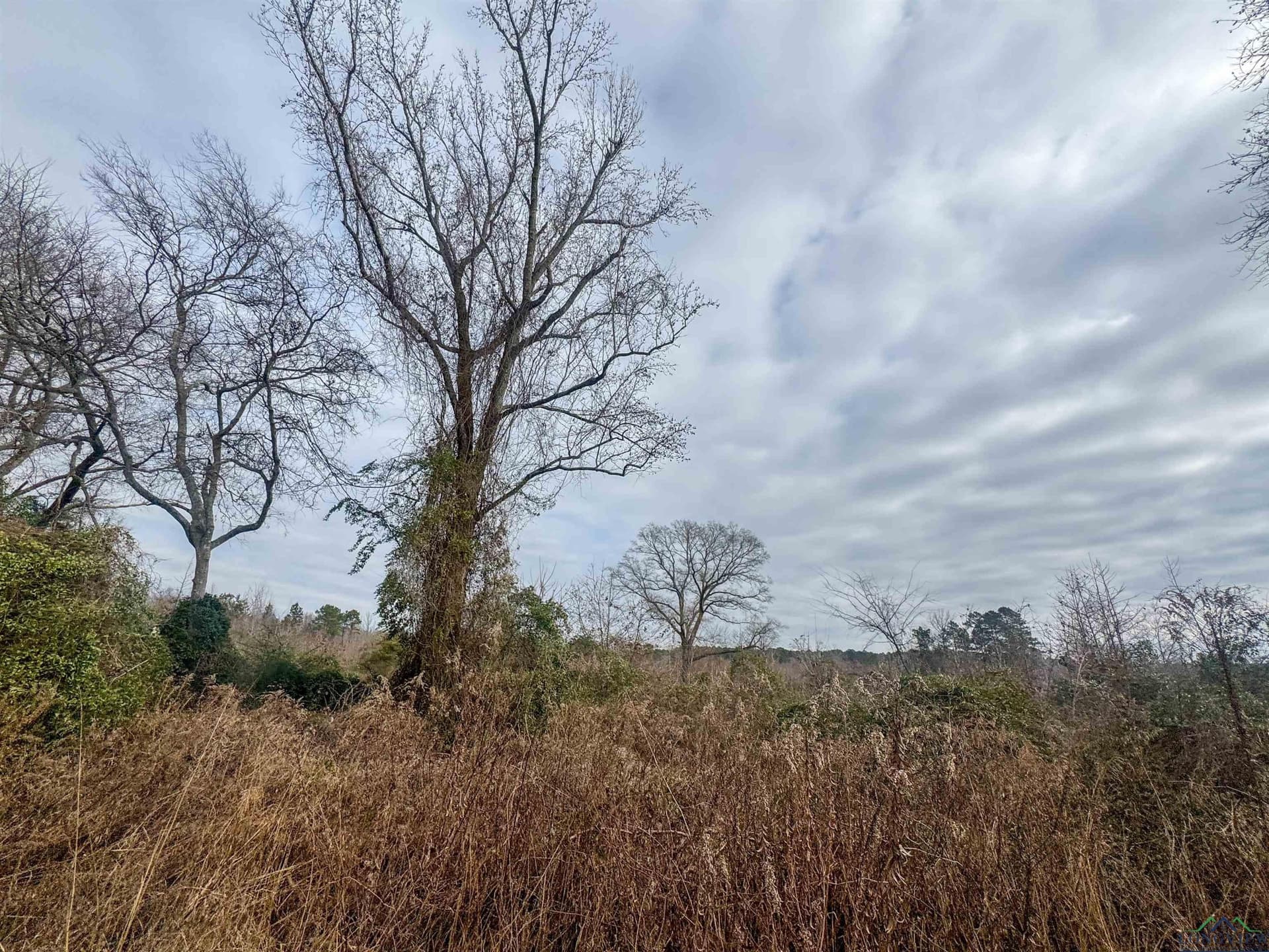 8.34 acres in Cass County - photo 14