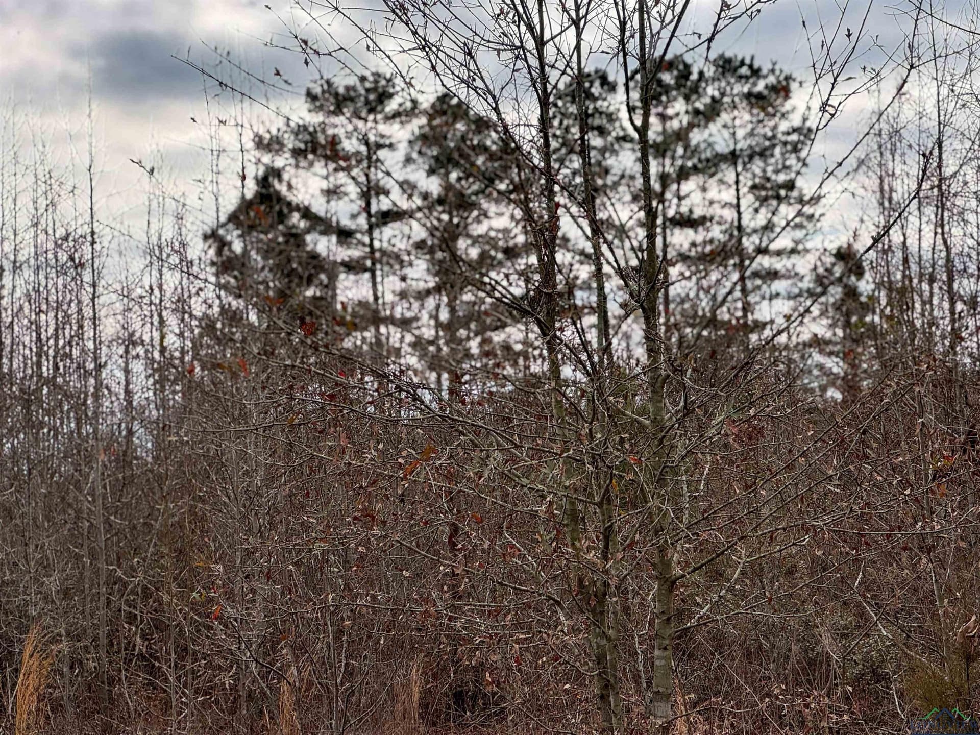 8.34 acres in Cass County - photo 16