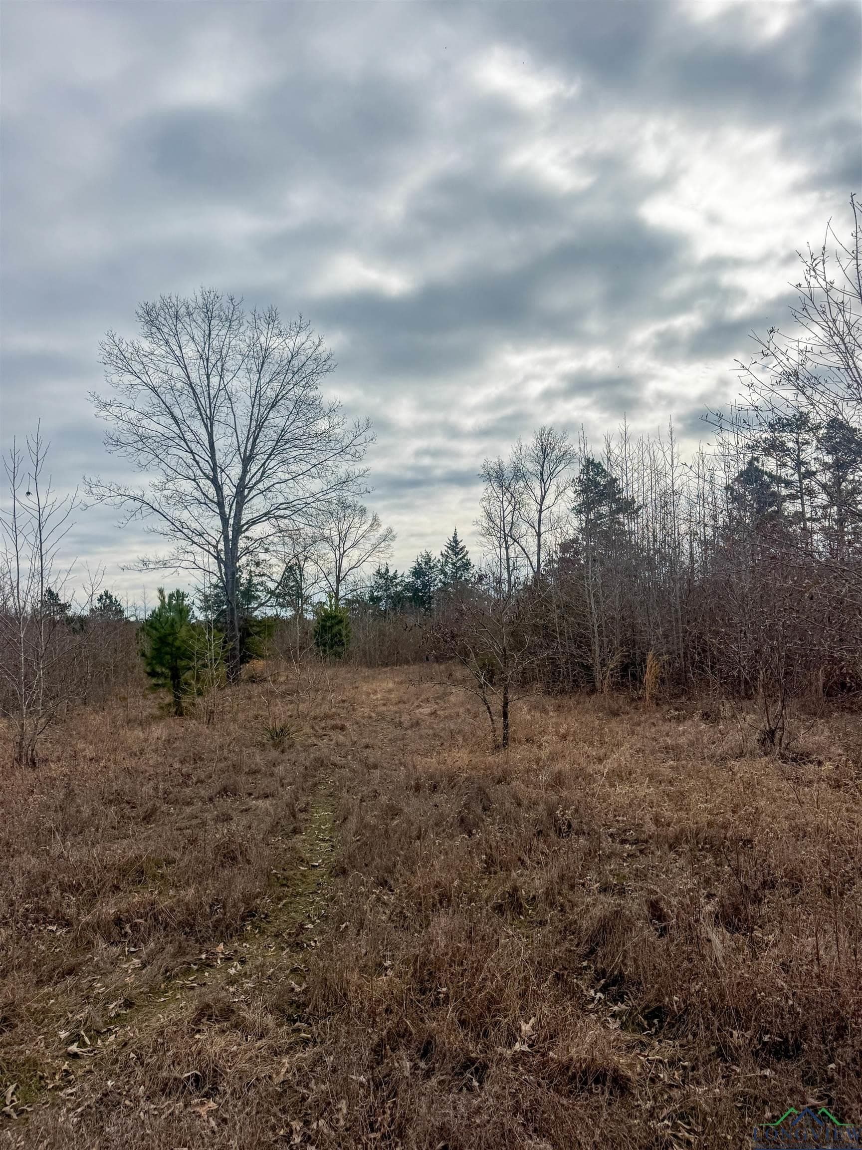 8.34 acres in Cass County - photo 9