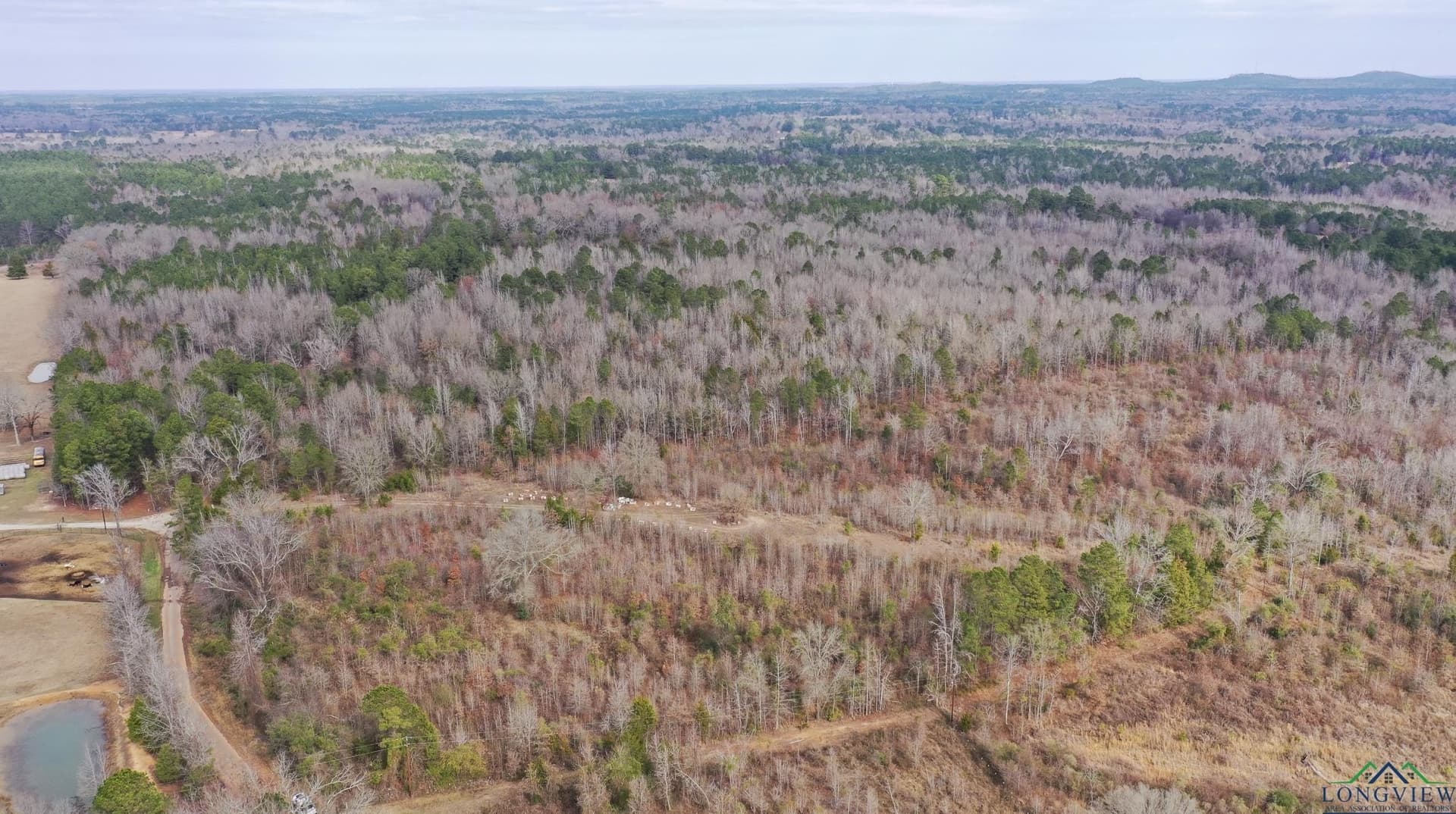 8.34 acres in Cass County - photo 7