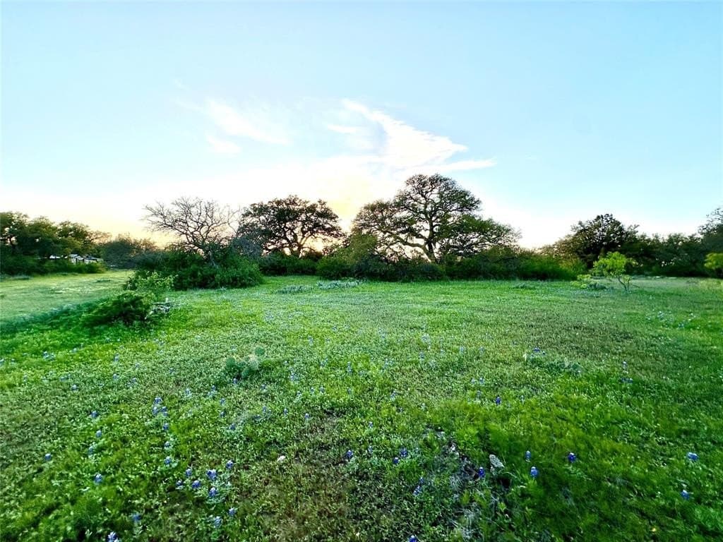 155.44 acres in Mills County - photo 19