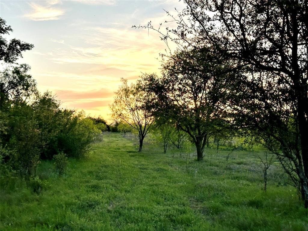 155.44 acres in Mills County - photo 17