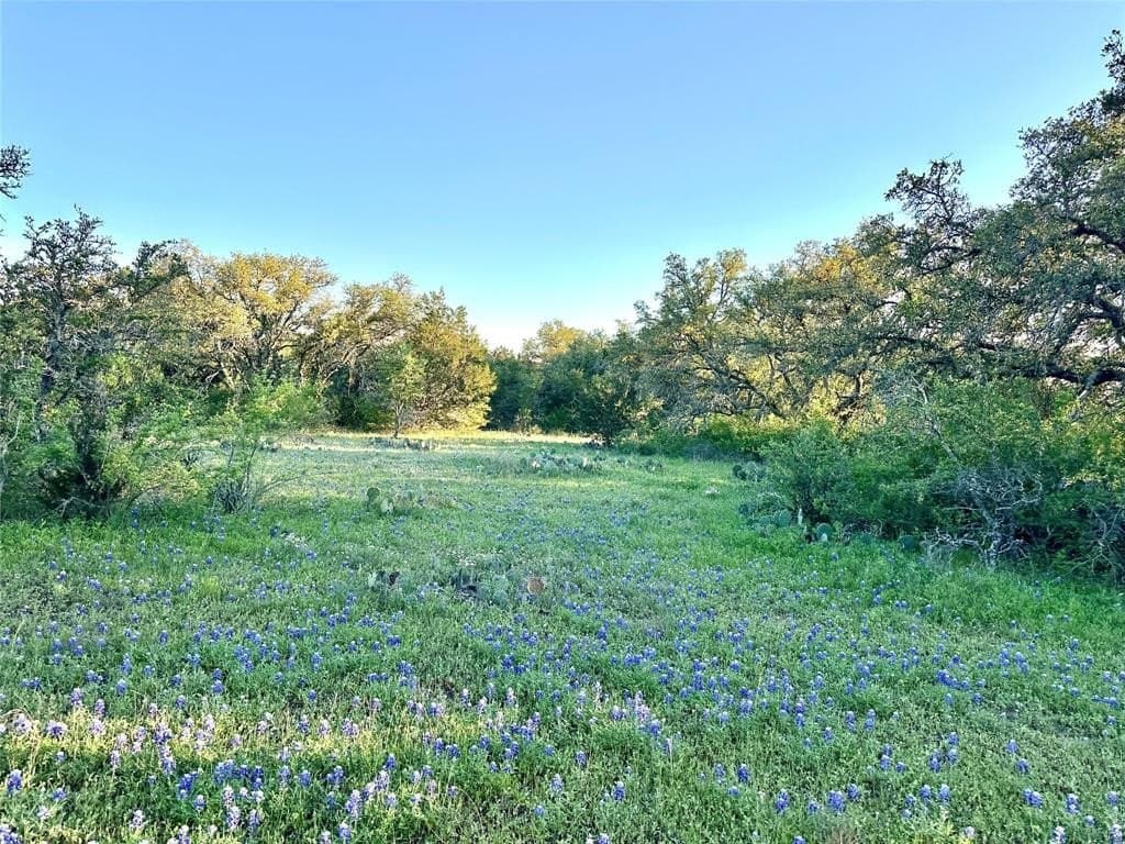 155.44 acres in Mills County - photo 35