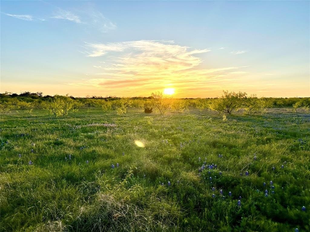 155.44 acres in Mills County - photo 14