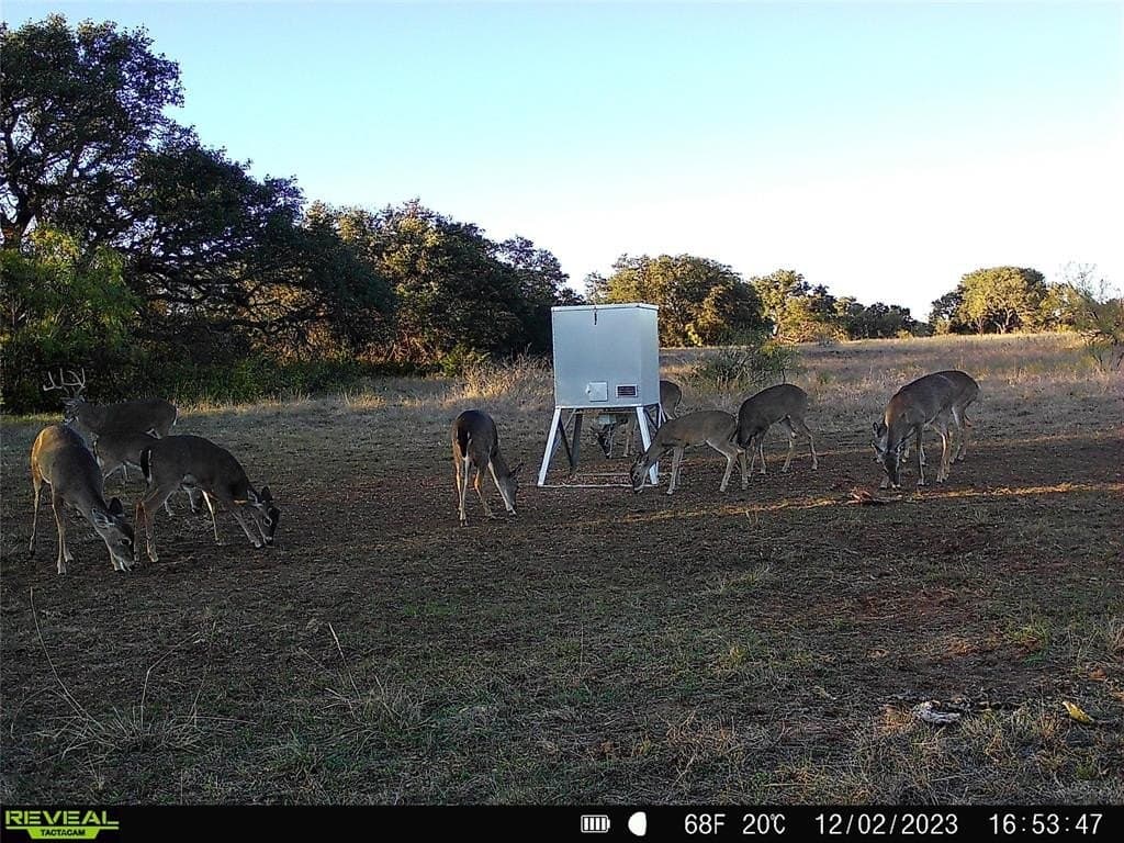 155.44 acres in Mills County - photo 34