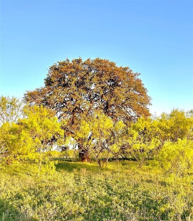 155.44 acres in Mills County - photo 39