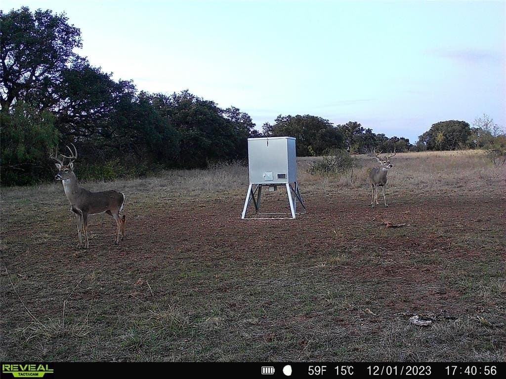 155.44 acres in Mills County - photo 33