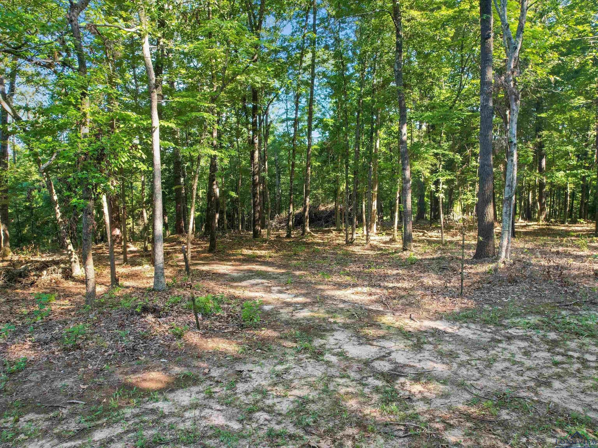 5 acres in Upshur County - photo 2