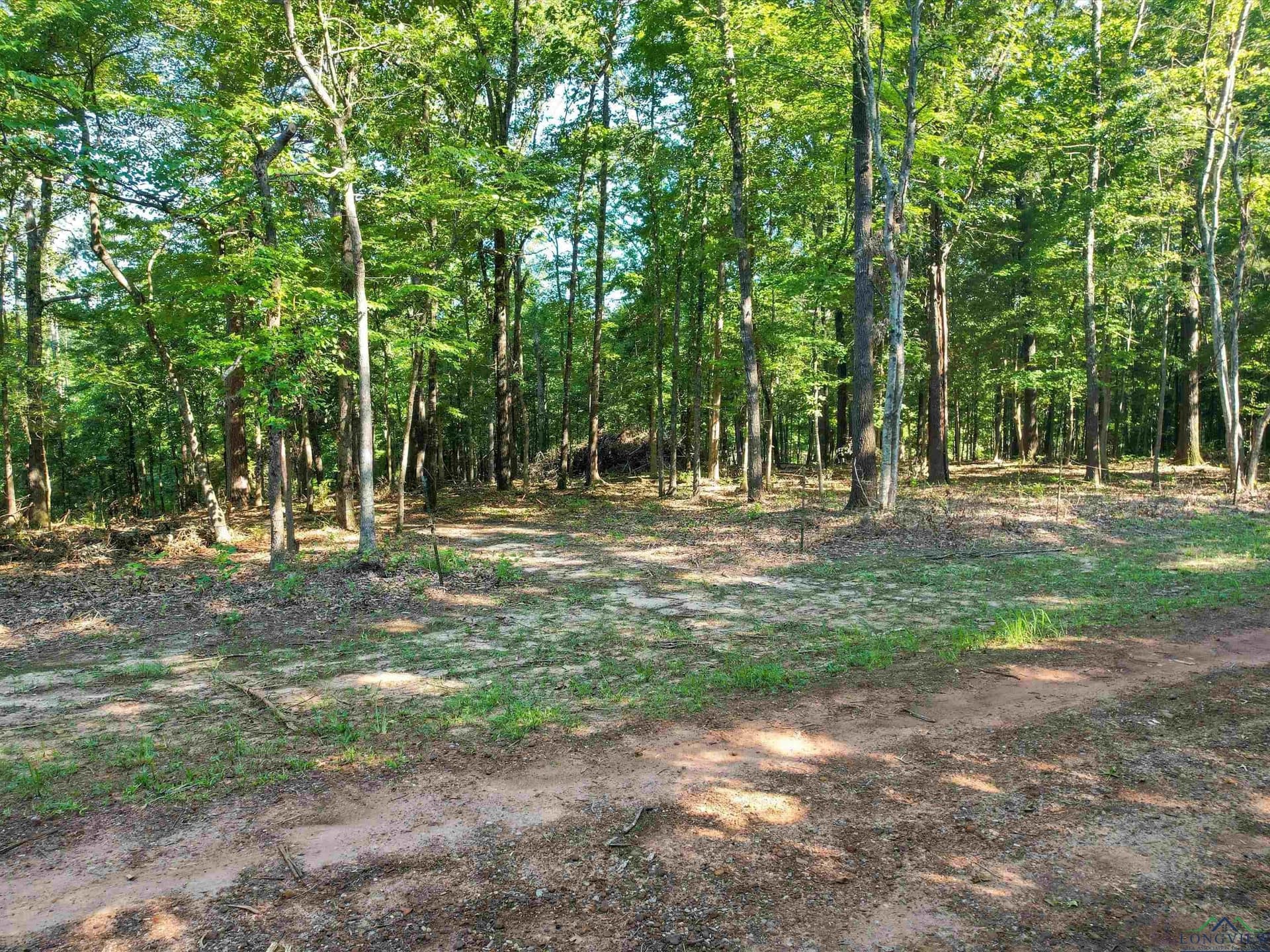 5 acres in Upshur County - photo 3