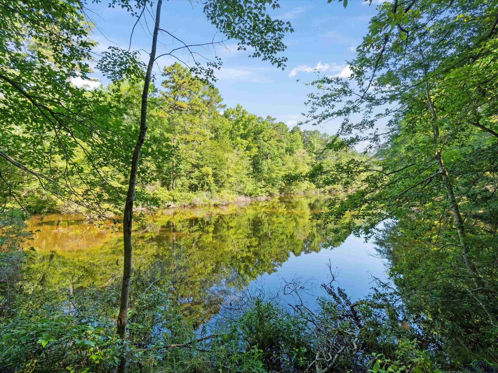 5 acres in Upshur County - photo 5