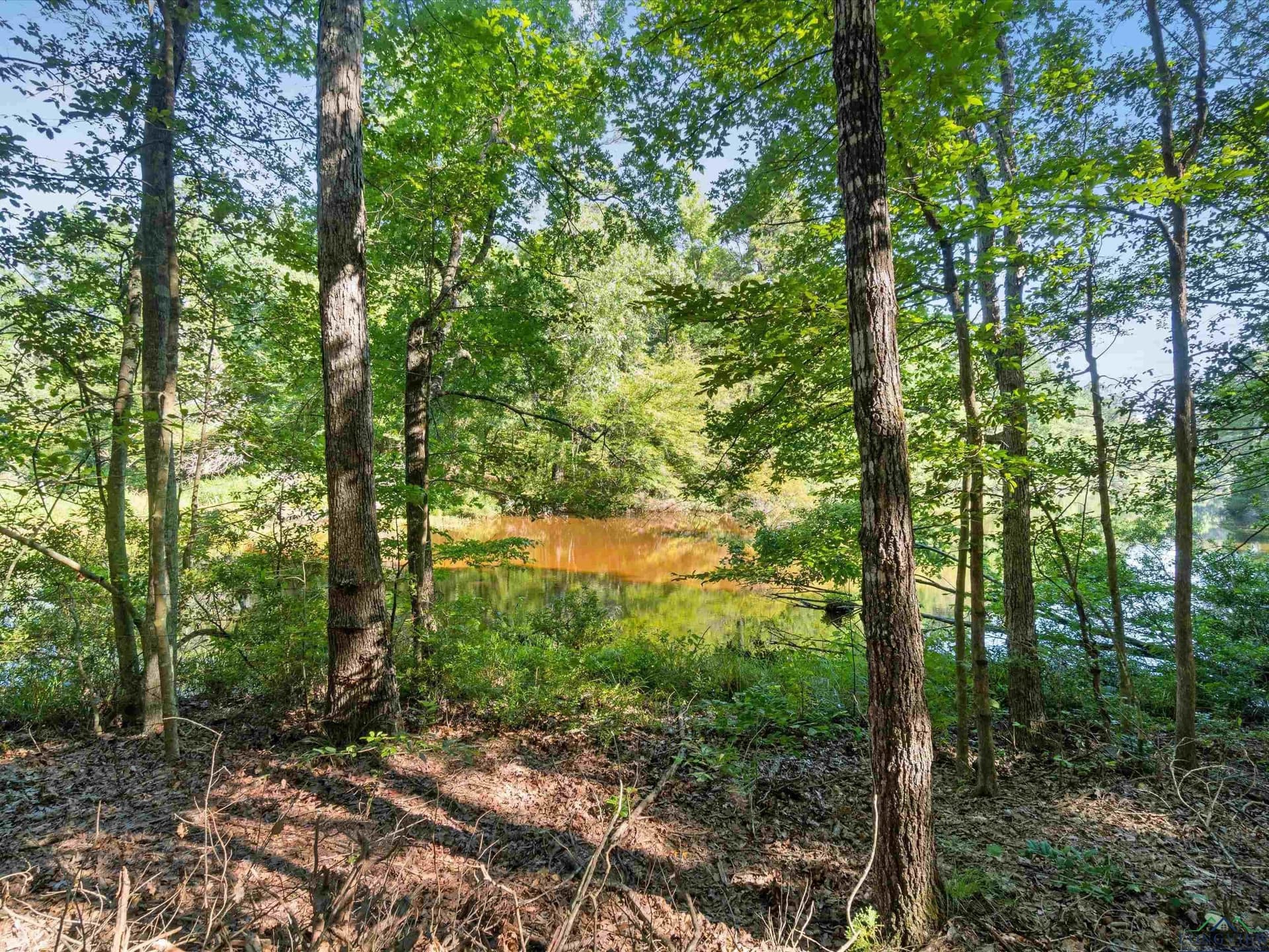 5 acres in Upshur County - photo 4