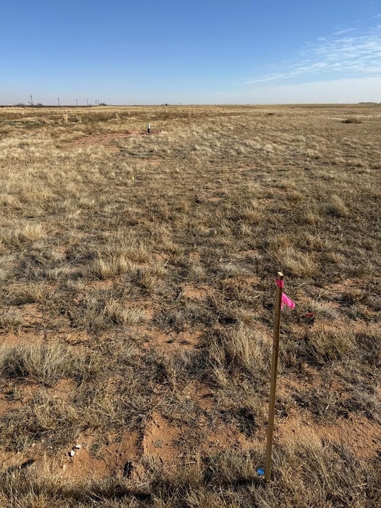 1 acres in Midland County - photo 13