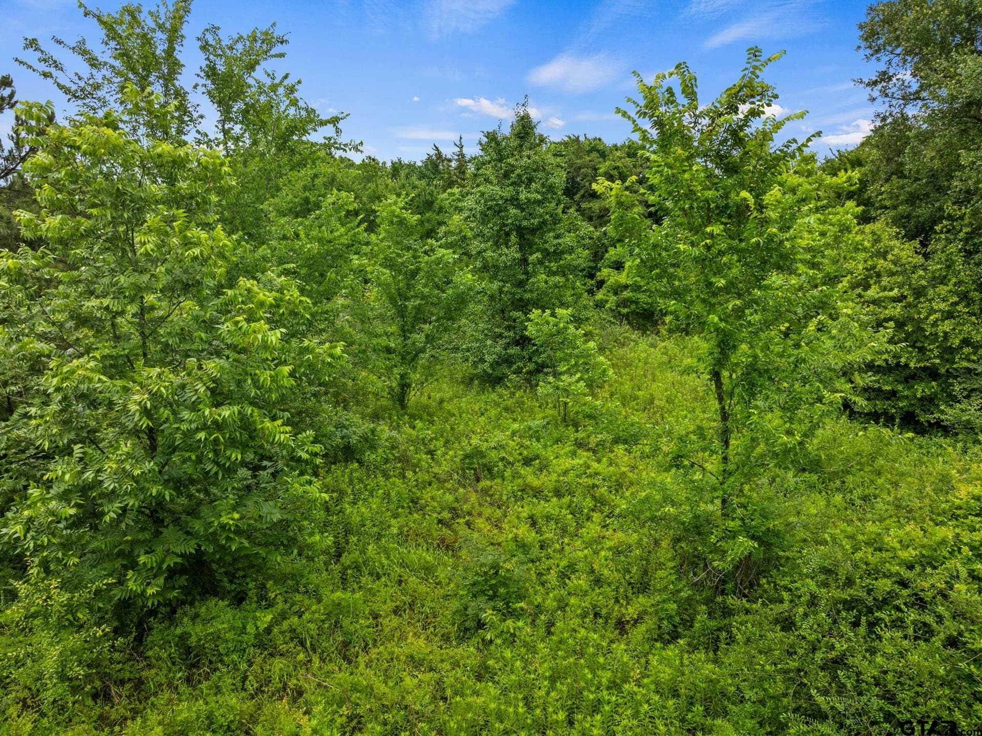 3.73 acres in Franklin County - photo 5