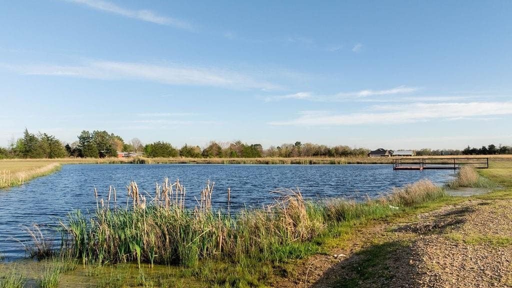 1.94 acres in Lamar County - photo 14