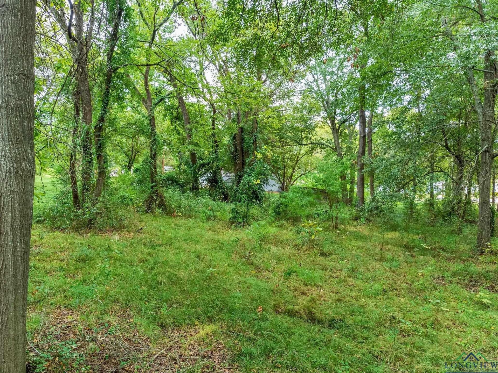 0.71 acres in Texas County - photo 21