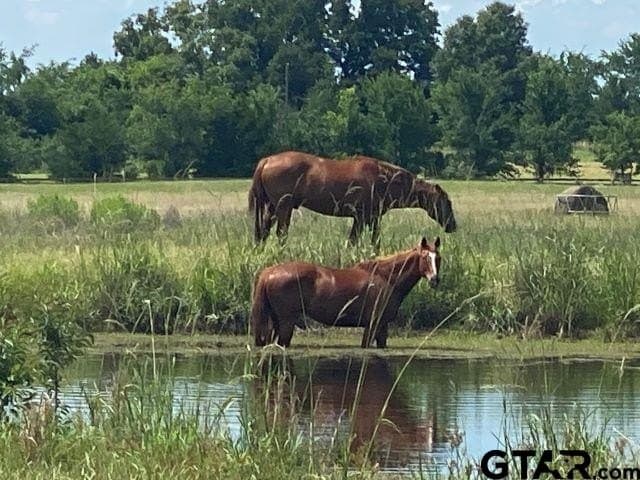 1.72 acres in Anderson County - photo 15